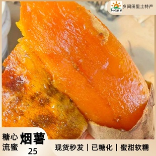 山东烟薯25蜜薯糖心红薯红心流油地新鲜农家沙地芋烤瓜番薯
