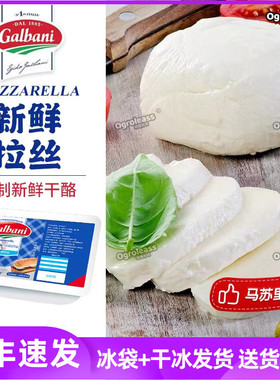 Galbani总统格巴尼新鲜马苏里拉干酪390g拉丝芝士奶酪Mozzarella