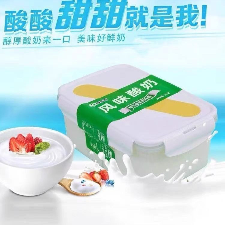 新疆特产西域酸奶饭盒1kg酸奶大桶发酵桶装水果原味奶皮子风味
