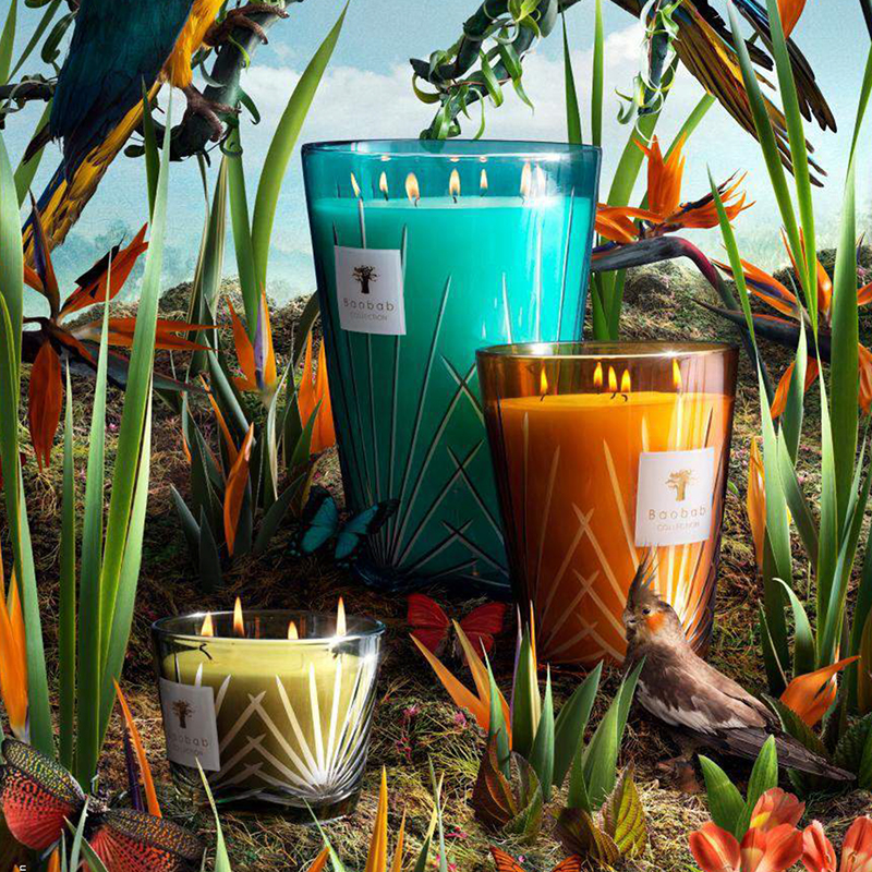 baobab香薰蜡烛棕榈亚马逊