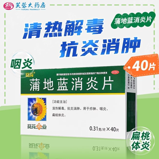 葵花 蒲地蓝消炎片 0.31g*40片 消炎药抗炎消肿咽炎消炎药片