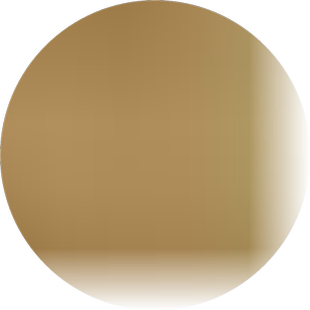 土培巴西木培高杆幸运巴西木盆栽巴西幸运木大棵水培巴西木大棵【