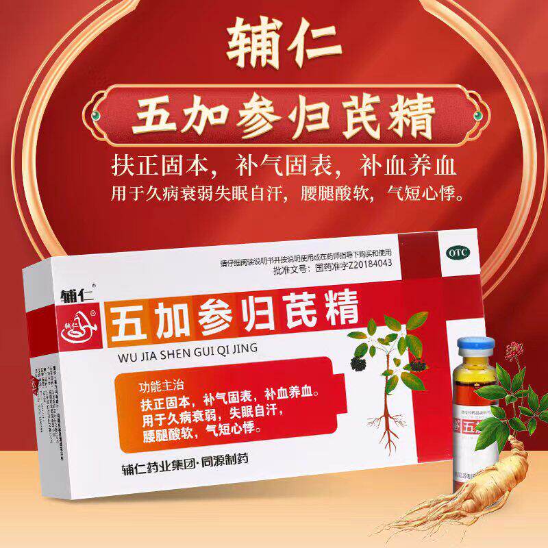 辅仁五加参归芪精扶正固本补气固表补血养血腰腿酸软久病衰弱中药