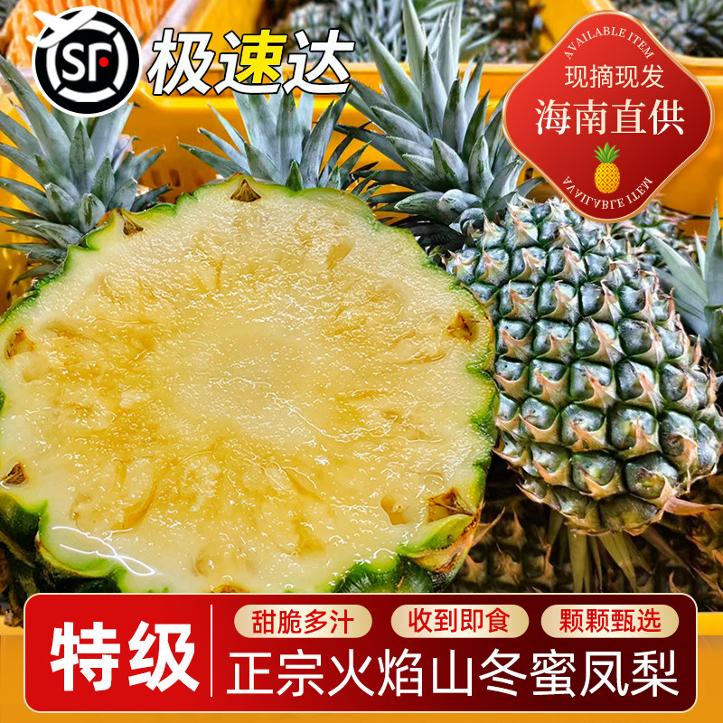 海南热带火焰山冬蜜凤梨礼盒香甜多汁台农十三号水果产地直发顺丰