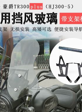 适用豪爵TR300 Plus前挡风300Plus城市版玻璃挡风板风挡玻璃挡风