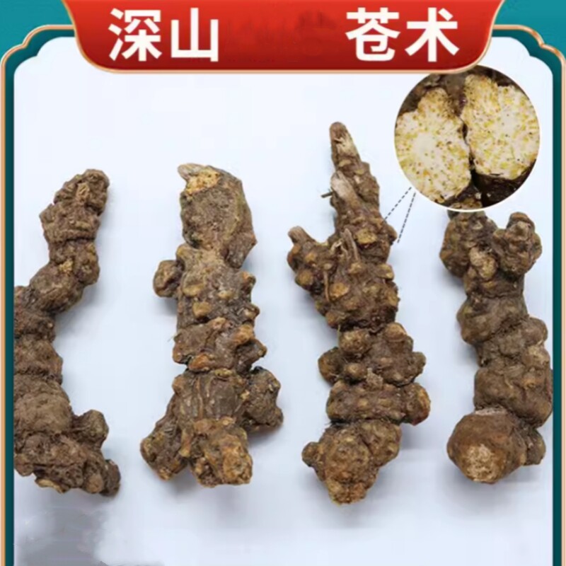 中药材  苍术 别名:枪头菜  赤术  马蓟  500g克  非野生  不大个