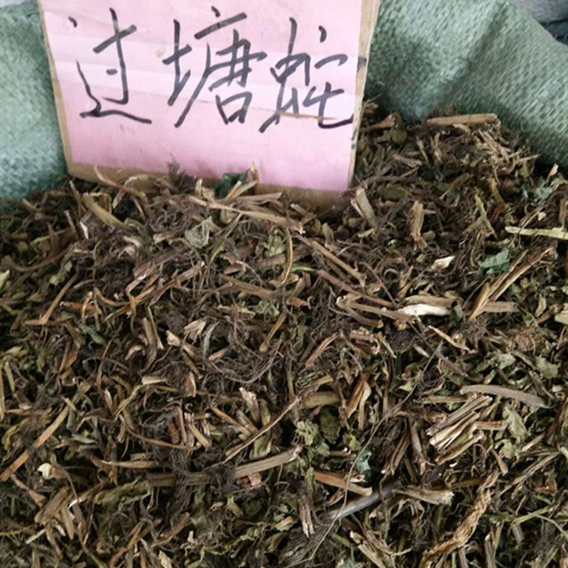 中药材 过塘蛇 别名:水盖菜 崩草 水瓮菜 过江龙 500克 统