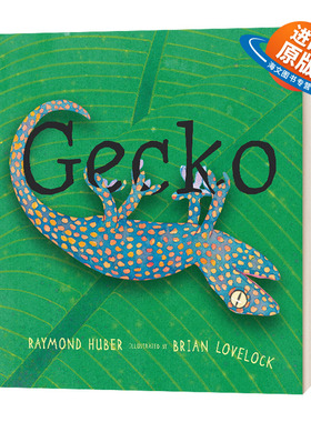 Gecko 壁虎 英文原版5-9岁儿童动物科普读物 Raymond Huber 精装 英文版 进口英语原版书籍儿童外文书