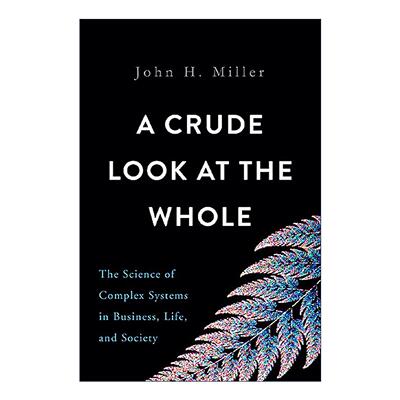 英文原版 A Crude Look at the Whole 直视全貌 商业 生命和社会生活中的复杂系统科学 精装 英文版 进口英语原版书籍