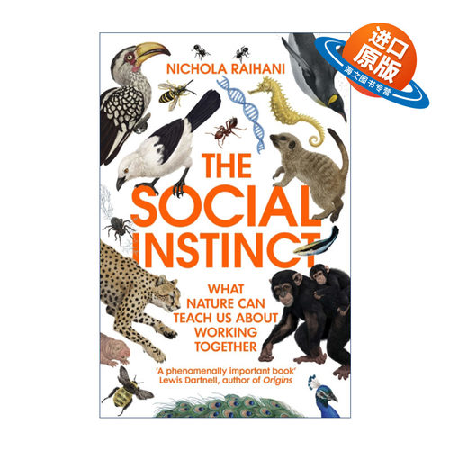 英文原版 The Social Instinct 人类还能好好合作吗 尼古拉·雷哈尼 英文版 进口英语原版书籍