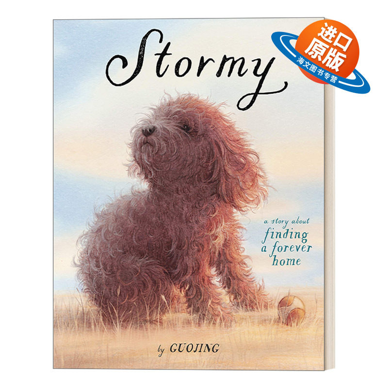 英文原版绘本 Stormy 暴风雨 寻找一个永远的家 3-7岁儿童友谊漫画绘本 独生小孩作者郭婧 精装 英文版 进口英语原版书籍
