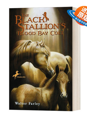 英文原版 The Black Stallion's Blood Bay Colt 黑神驹系列 黑神驹的血湾小马 Walter Farley 小说 英文版 进口书籍