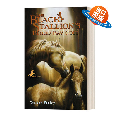 英文原版 The Black Stallion's Blood Bay Colt 黑神驹系列 黑神驹的血湾小马 Walter Farley 小说 英文版 进口书籍
