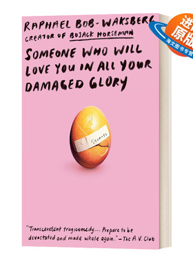 英文原版小说 Someone Who Will Love You in All Your Damaged Glory 一个爱你的人 英文版 进口英语原版书籍
