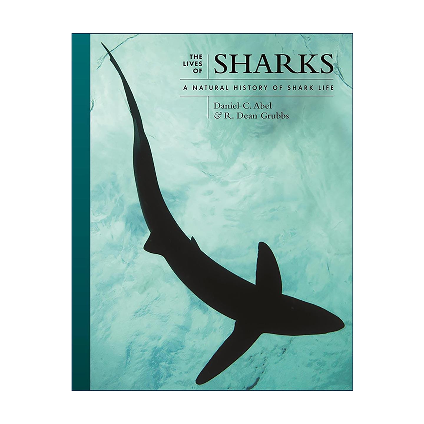 英文原版 The Lives of Sharks 鲨鱼 优雅的超级捕食者 自然史 丹尼尔·C.埃布尔 普林斯顿 精装 英文版 进口英语原版书籍