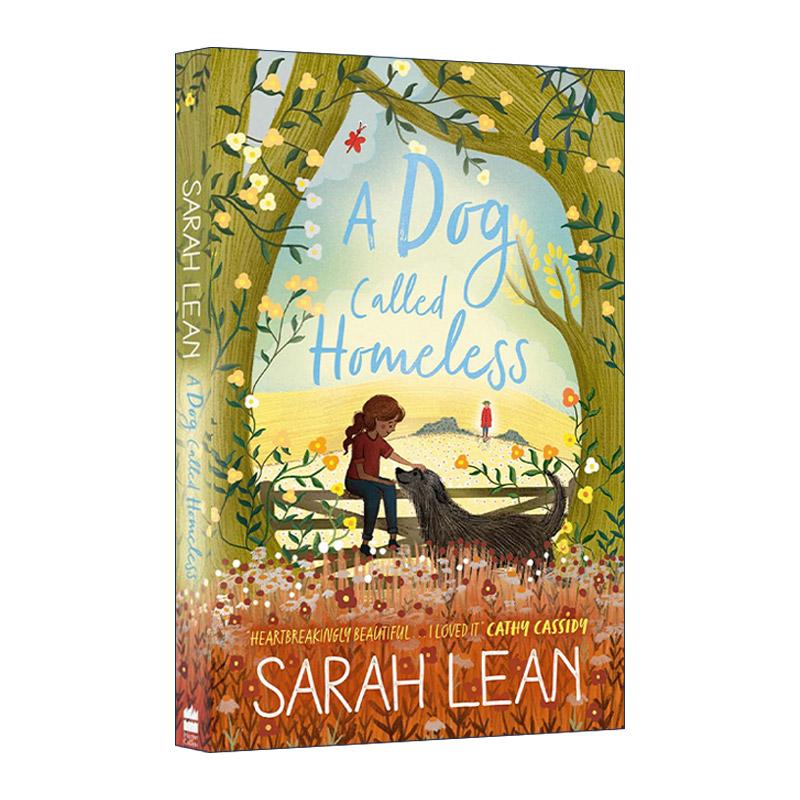 英文原版 A Dog Called Homeless 一只名叫流浪的狗 Sarah Lean 儿童插画故事书 英文版 进口英语原版书籍