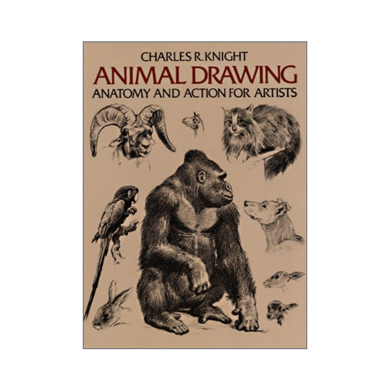 英文原版 Animal Drawing 动物绘画技巧指南 艺术家的解剖学 美术 Charles R. Knight 英文版 进口英语原版书籍