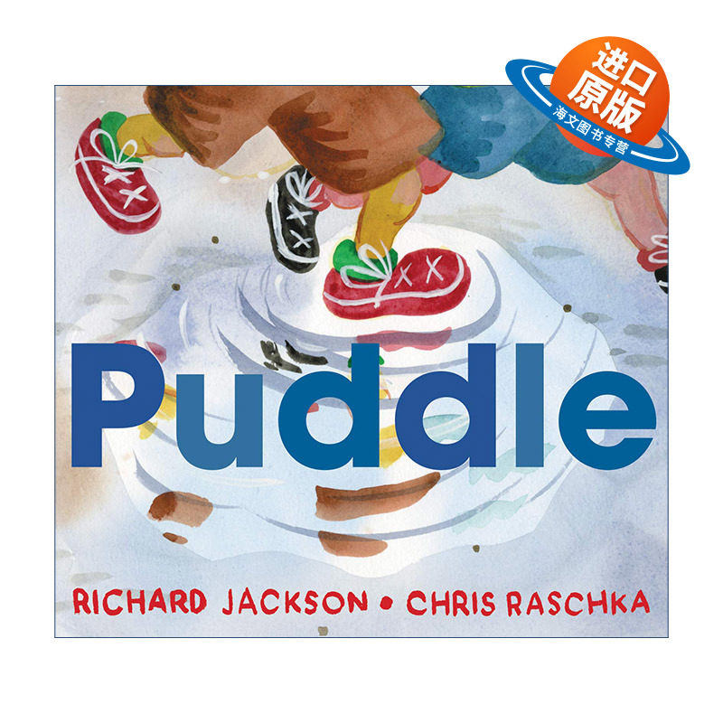 英文原版 Puddle 水坑 凯迪克奖得主克里斯拉斯卡 精装绘本 英文版 进口英语原版书籍