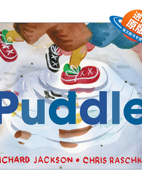 英文原版 Puddle 水坑 凯迪克奖得主克里斯拉斯卡 精装绘本 英文版 进口英语原版书籍