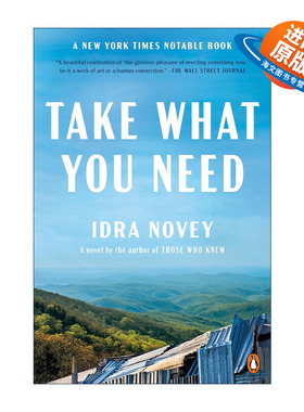 英文原版 Take What You Need 拿走你要的 女性小说 Idra Novey 英文版 进口英语原版书籍