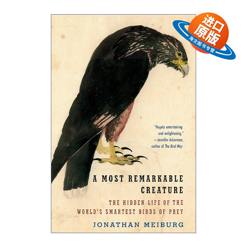 英文原版 A Most Remarkable Creature 非凡的生物 世界上聪明猛禽的隐秘生活 Jonathan Meiburg 英文版 进口英语原版书籍