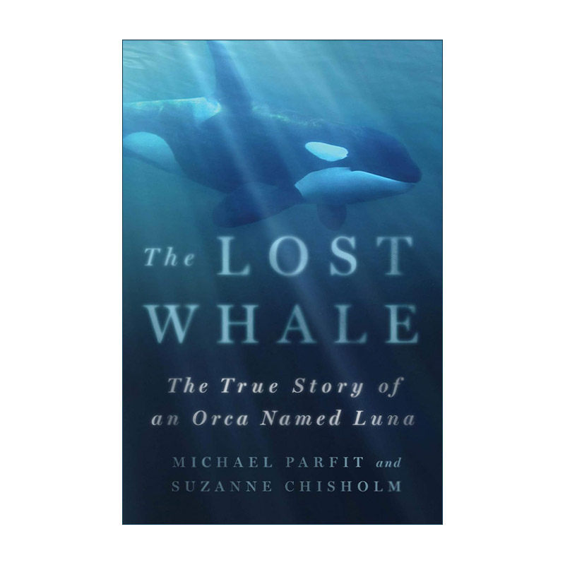 英文原版 The Lost Whale 迷路的鲸鱼 一只名叫露娜的虎鲸的真实故事 精装 英文版 进口英语原版书籍