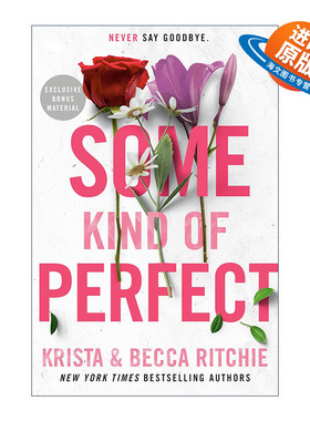 英文原版 Some Kind of Perfect 某种完美 浪漫小说 Becca Ritchie 英文版 进口英语原版书籍