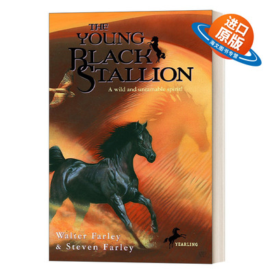 英文原版 The Young Black Stallion 黑神驹系列 年轻的黑神驹 野性而不可驯服的灵魂! Walter Farley 小说 英文版 进口英语书籍