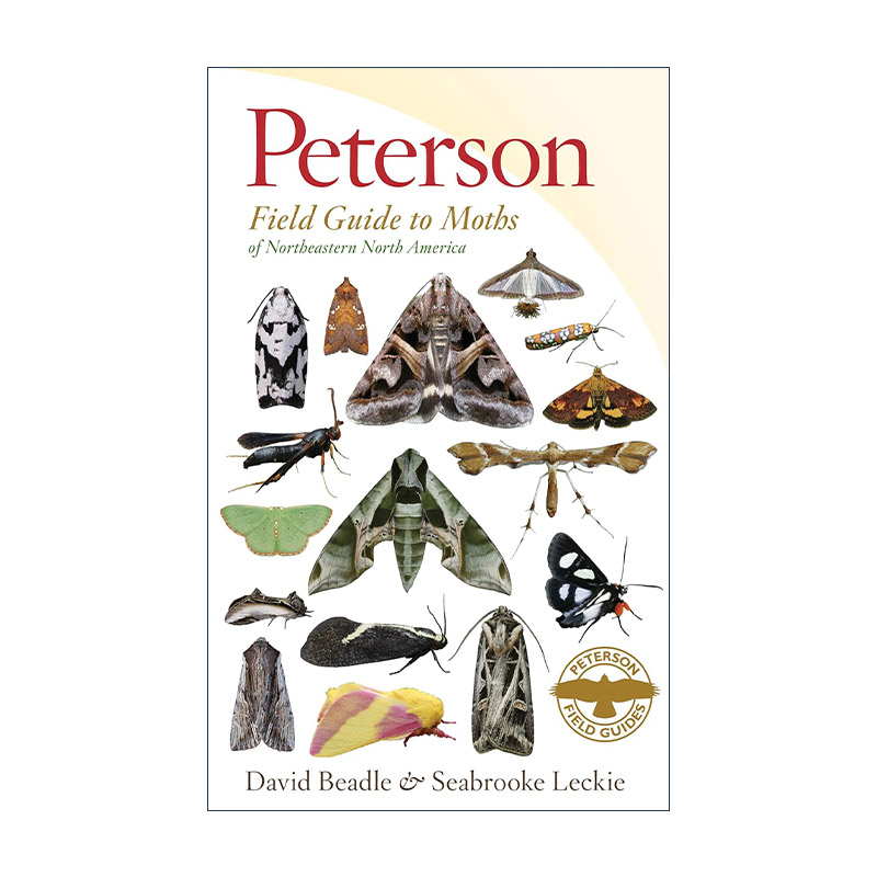 英文原版 Peterson Field Guide to Moths of Northeastern North America 皮特森图鉴之北美东北部飞蛾 英文版 进口英语原版书籍