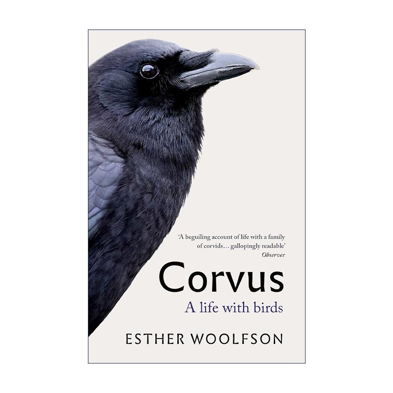 英文原版 Corvus 与鸦为伴 Esther Woolfson 回忆录 自然历史写作 英文版 进口英语原版书籍