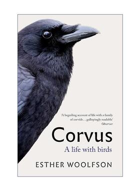 英文原版 Corvus 与鸦为伴 Esther Woolfson 回忆录 自然历史写作 英文版 进口英语原版书籍
