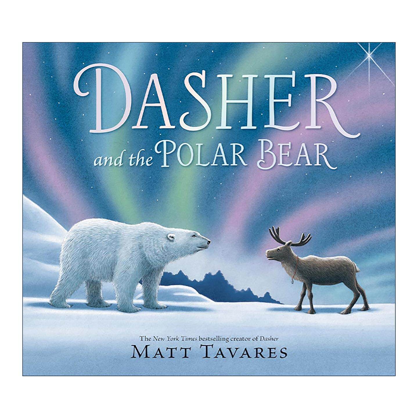 英文原版 Dasher and the Polar Bear 驯鹿与北极熊 儿童圣诞节日绘本精装 英文版 进口英语原版书籍