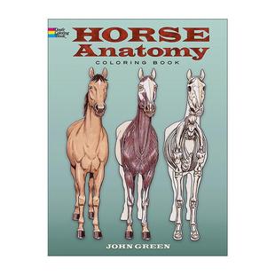 英文原版 Horse Anatomy Coloring Book 儿童马类解剖涂色着色书 动物科普益智游戏活动书 英文版 进口英语原版书籍