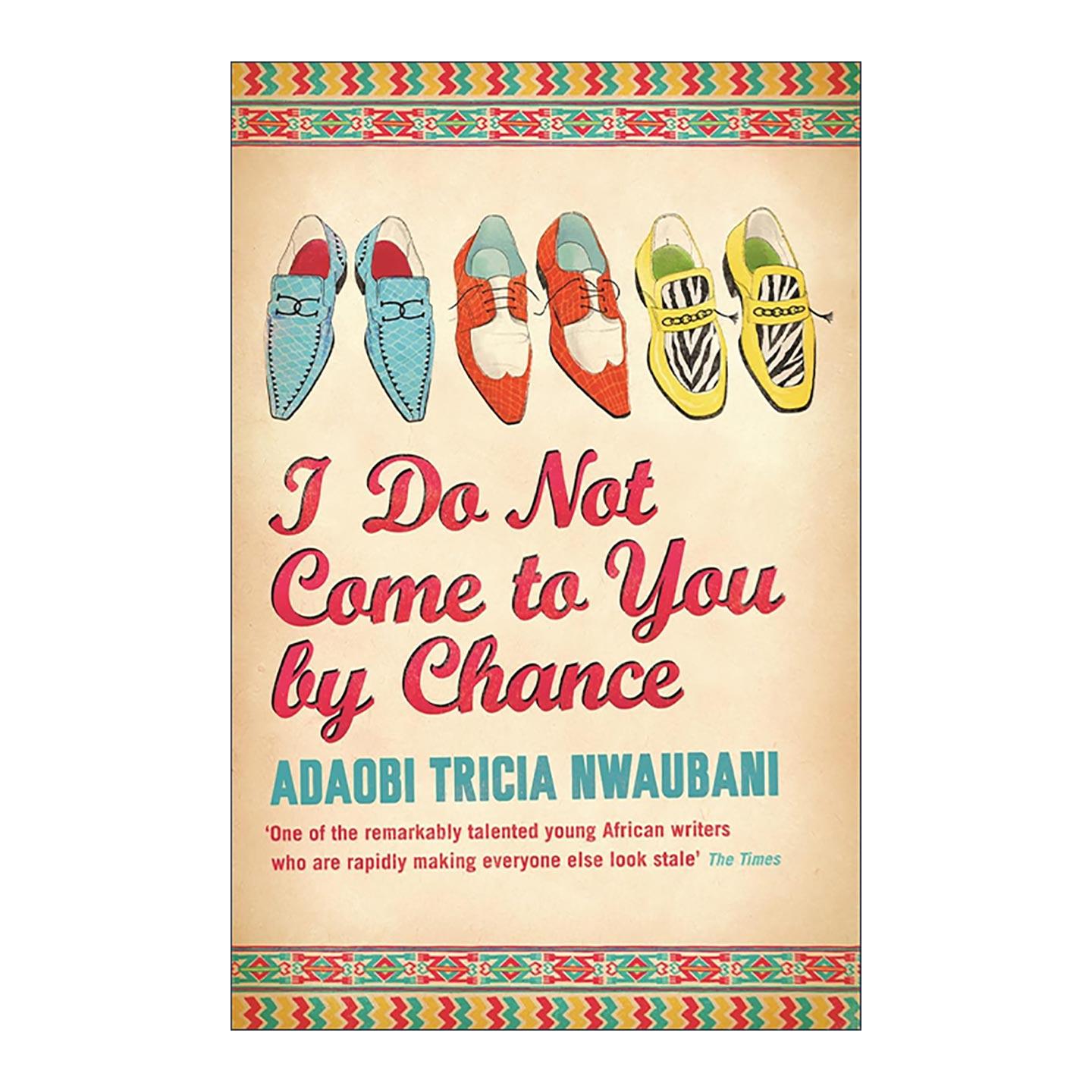 英文原版 I Do Not Come to You by Chance 我并非偶然遇见你 电影原著小说 尼日利亚社会 英文版 进口英语原版书籍