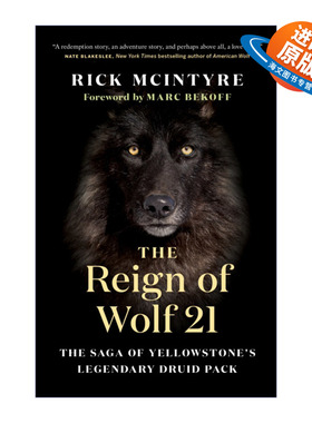英文原版 The Reign of Wolf 21 狼21的统治 黄石公园狼系列1 Rick McIntyre 自然科普百科 英文版 进口英语原版书籍