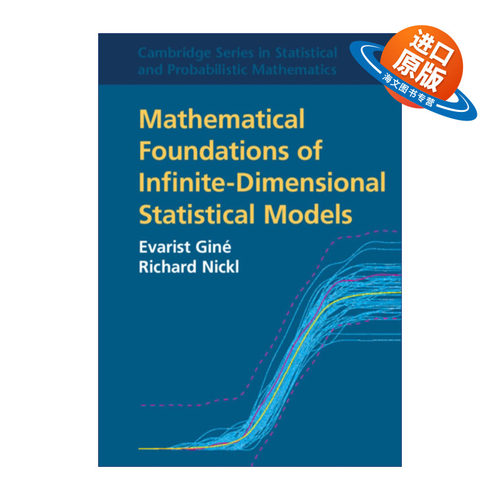 英文原版 Mathematical Foundations of Infinite-Dimensional Statistical Models 无穷维统计模型的数学基础 剑桥统计与概率