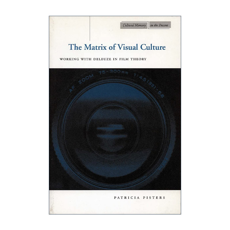 英文原版 The Matrix of Visual Culture 视觉文化的基体 与德勒兹探讨电影理论 帕特里夏·皮斯特斯 英文版 进口英语原版书籍