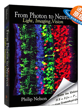 英文原版 From Photon to Neuron 从光子到神经元 平装 英文版 进口英语原版书籍