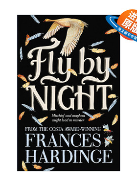 英文原版 Fly By Night 夜间飞行 弗朗西斯·哈丁 Frances Hardinge 英文版 进口英语原版书籍
