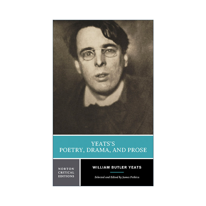 英文原版 Yeats's Poetry Drama and Prose叶芝的诗歌戏剧和散文诺顿文学解读系列英文版进口英语原版书籍-封面