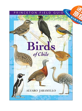英文原版 Birds of Chile 智利鸟类 普林斯顿野外指南 Alvaro Jaramillo英文版 进口英语原版书籍