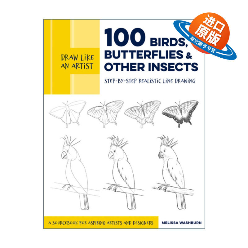 英文原版 Draw Like an Artist 100 Birds Butterflies and Other Insects 像艺术家一样画画 100种昆虫 英文版 进口英语原版书籍