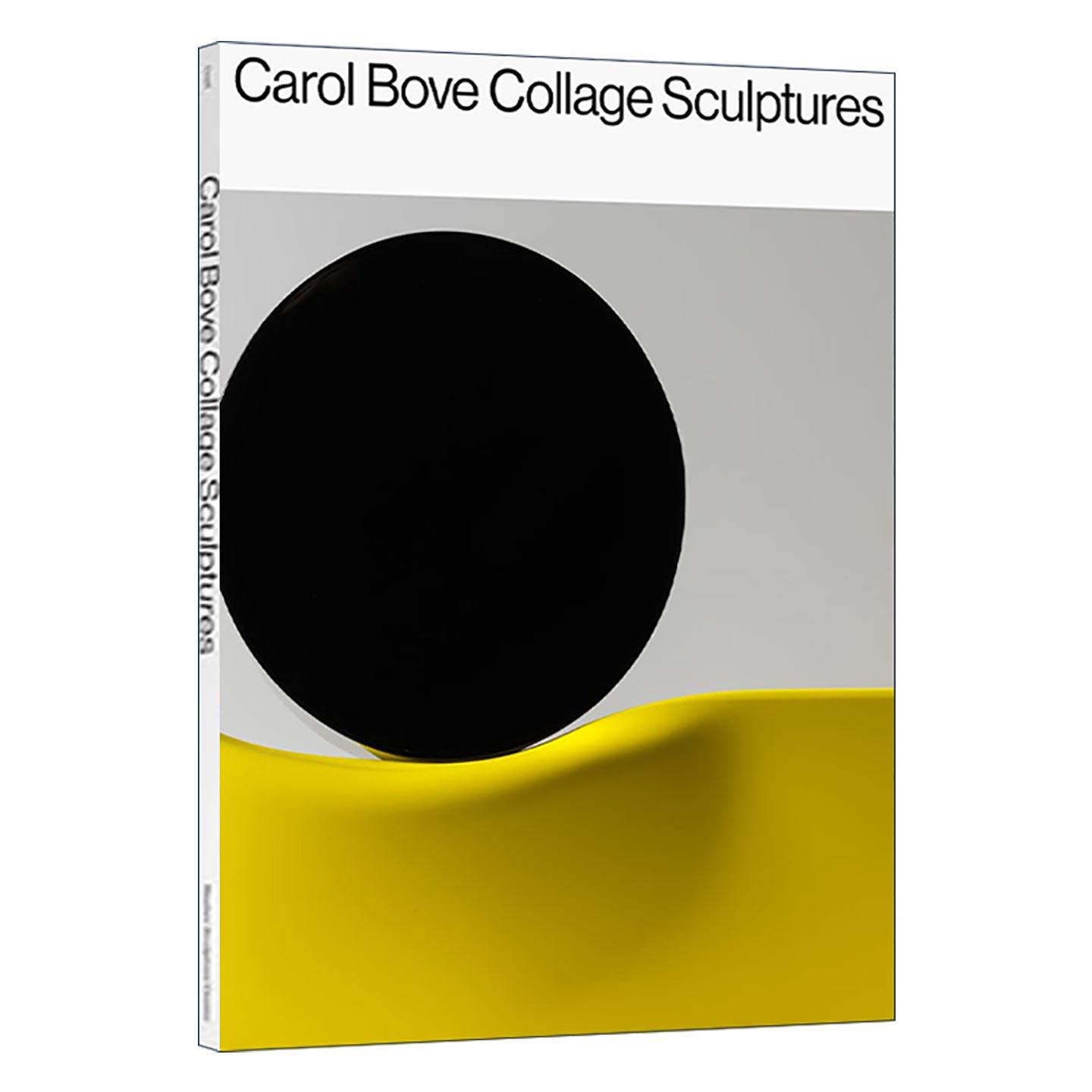 英文原版 Carol Bove Collage Sculptures 卡罗尔·波维 拼贴雕塑 现代艺术雕塑作品集精装 英文版 进口英语原版书籍 - 实物图