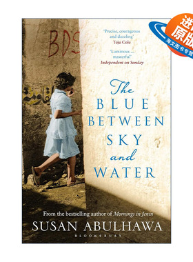 英文原版 The Blue Between Sky and Water 蓝天与水之间的蓝色 大卫的伤疤同作者 苏珊·阿布哈瓦 巴勒斯坦裔作家 中东文学