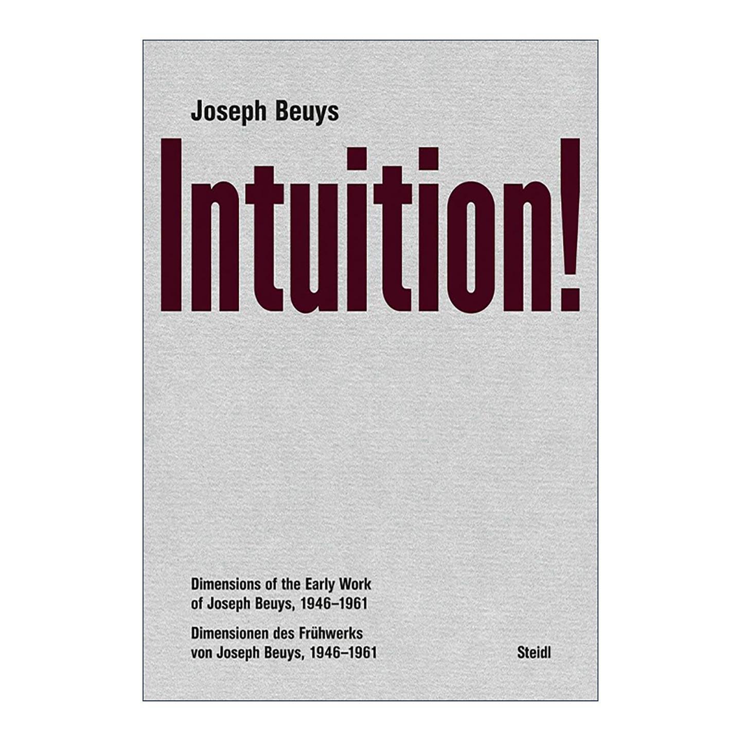 英文原版 Joseph Beuys Intuition 约瑟夫·博伊斯 直觉 摄影作品集精装 英文版 进口英语原版书籍