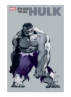 英文原版 Jeph Loeb & Tim Sale Hulk 绿巨人 浩克 漫威漫画 英文版 进口英语原版书籍