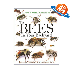 Your 蜜蜂 The 英文版 书籍 英文原版 Wilson Backyard Bees Joseph 北美蜜蜂指南 后院 进口英语原版