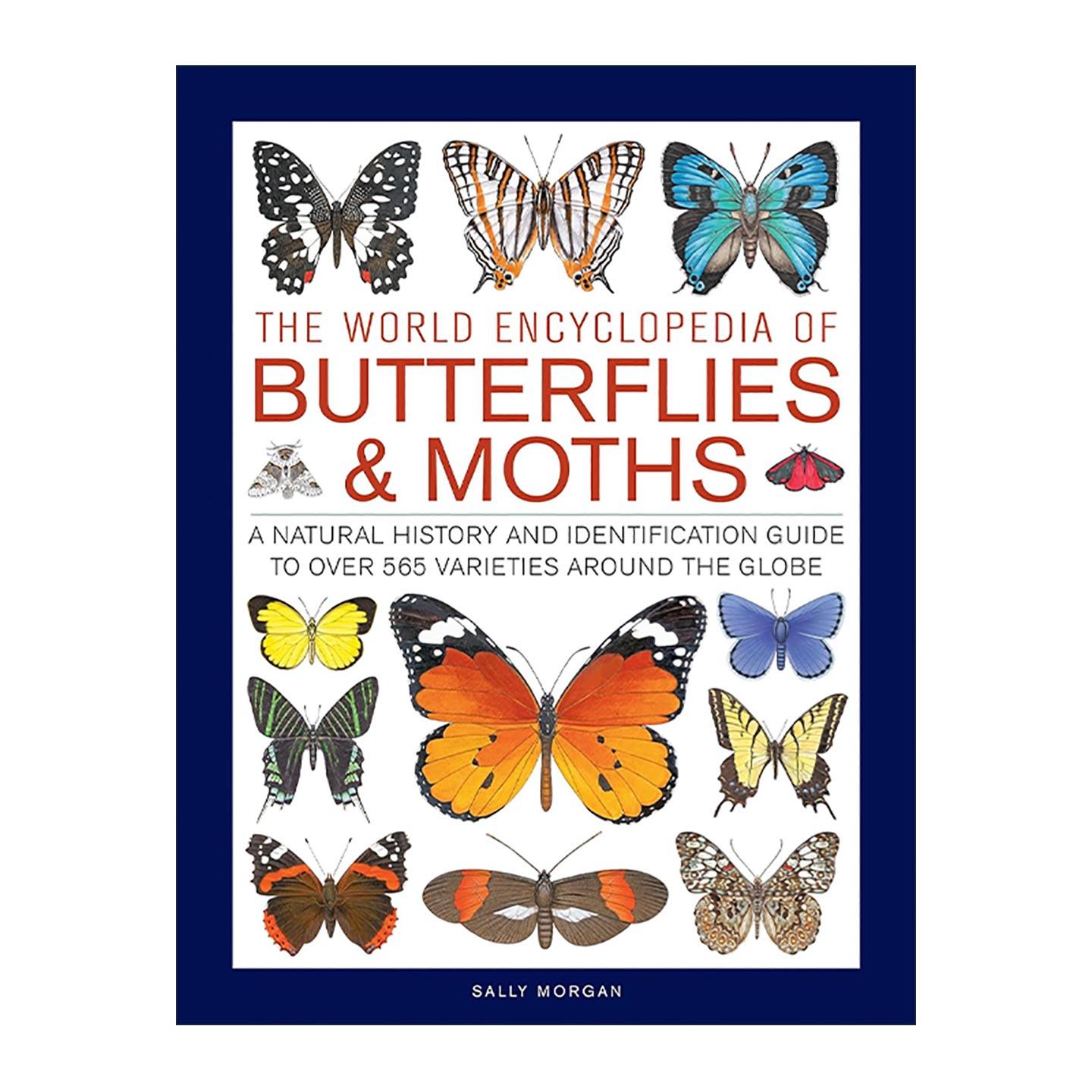 英文原版 The World Encyclopedia of Butterflies & Moths 世界蝴蝶与飞蛾百科全书 精装 英文版 进口英语原版书籍