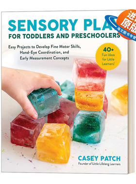 英文原版 Sensory Play for Toddlers and Preschoolers 儿童的感官游戏 英文版 进口英语原版书籍