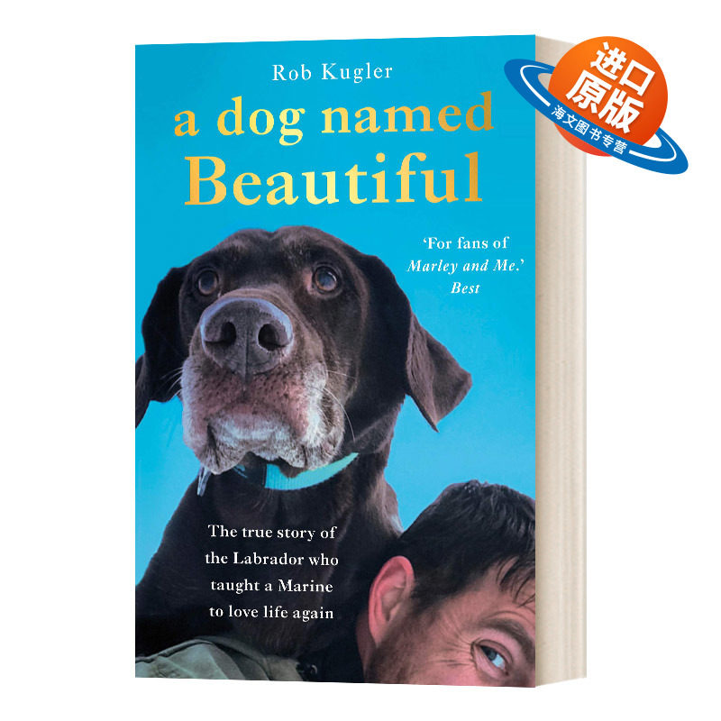 英文原版 A Dog Named Beautiful 一只名叫美丽的狗 关于动物与人的真实故事 英文版 进口英语原版书籍
